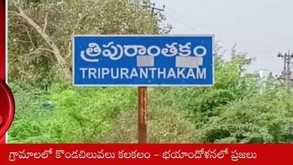 ప్రకాశం: కొండ చిలువల కలకలం... భయాందోళనలో ప్రజలు