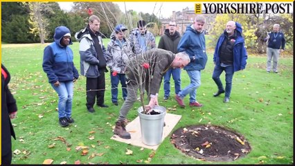 Wentworth Woodhouse Queen's Canopy Tree planting