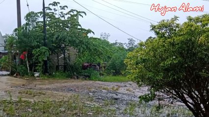 SUARA HUJAN ALAMI DAN KENCANGNYA ANGIN MEMBAWA ANDA TERTIDUR DALAM WAKTU 5 MENIT