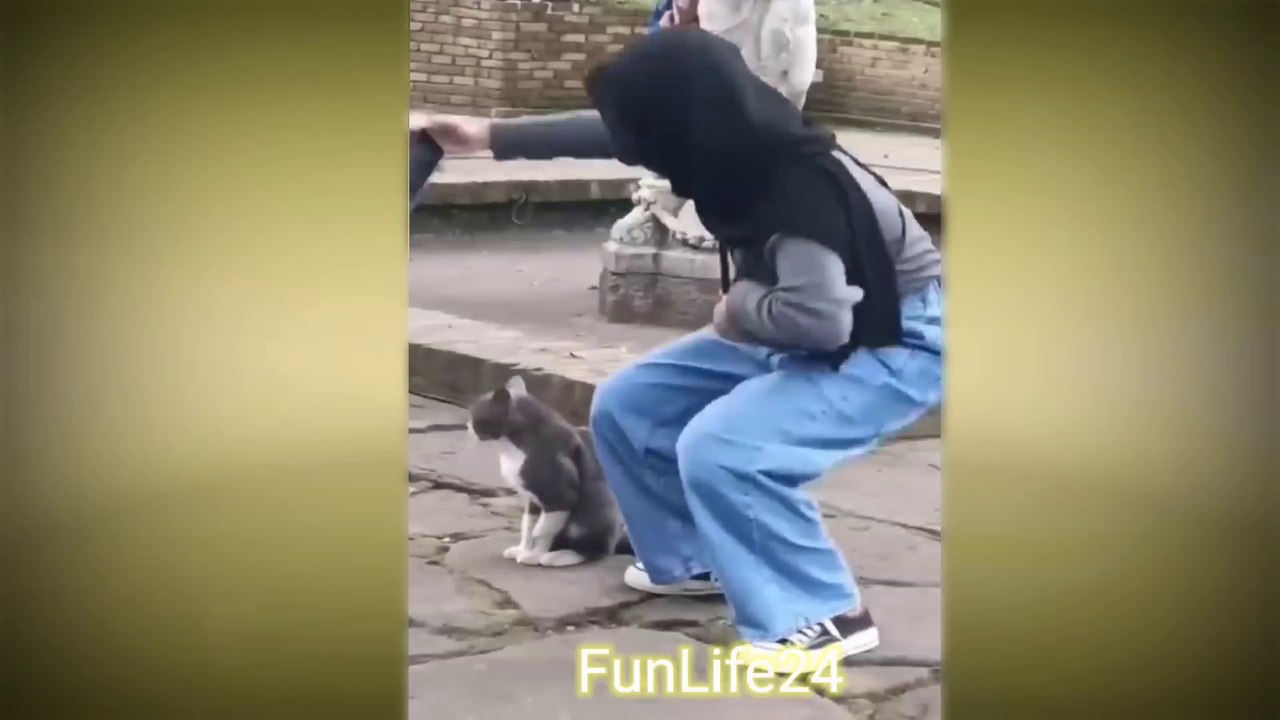 Funny videos, interesting videos, cute Animals