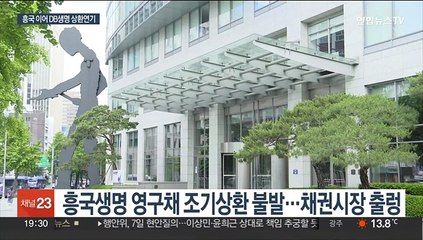 조기상환 안한 흥국생명 옹호한 금융당국…DB생명도 연기