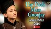 Har Desh Main Goonjay | Naat | Arsalan Shah Qadri | HD Video | Labaik Labaik