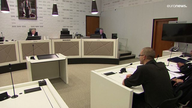 Экоэкстремисты получили сроки за нападение на Девушку с жемчужной серёжкой