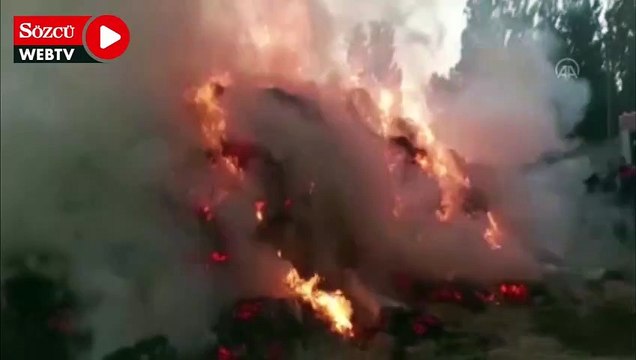 Besicinin hayvanlarına kış için hazırladığı otlar yangında kül oldu