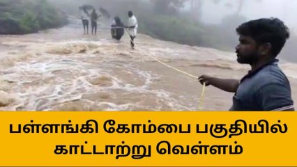 கொடைக்கானல் பள்ளங்கி கோம்பை பகுதியில் காட்டாற்று வெள்ளம்