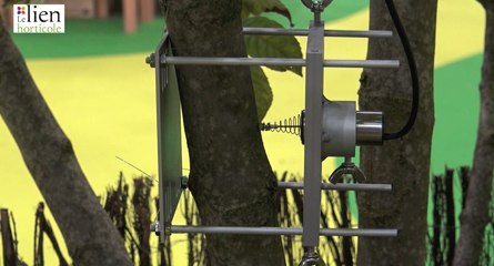 Des capteurs Micro-Endrométrique connectés aux arbres