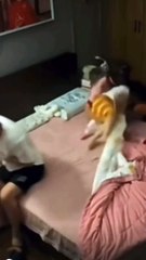 SURPRISE FACE MASK WIFE AND PRANKED SNAKE