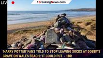 'Harry Potter' Fans Told to Stop Leaving Socks at Dobby's Grave on Wales Beach: 'It Could Put  - 1br