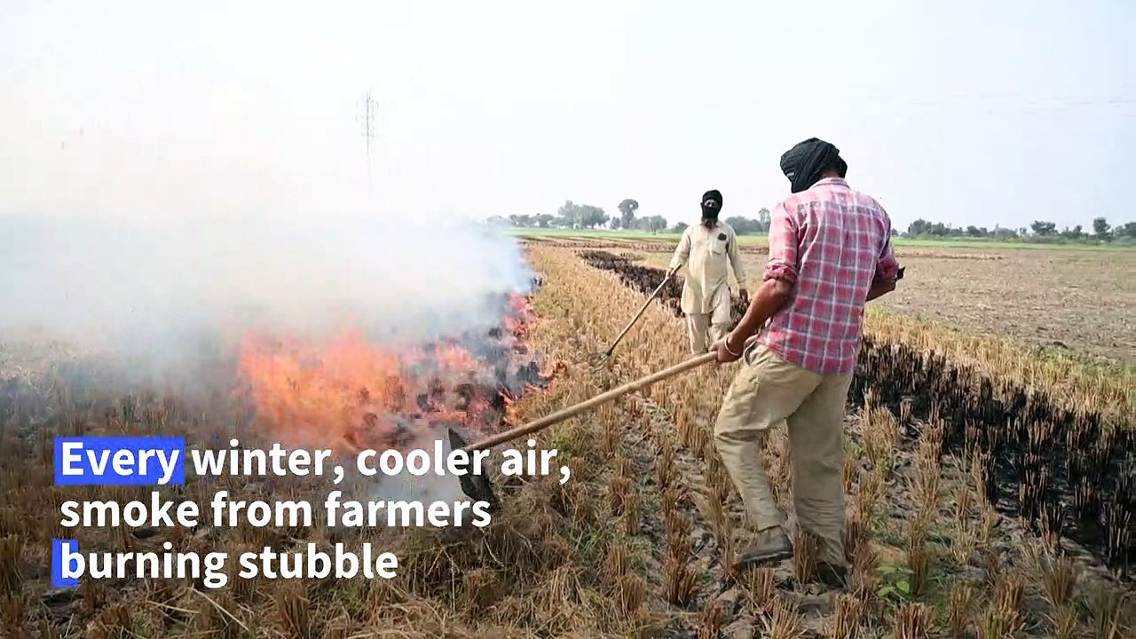 Thick smog chokes India's capital