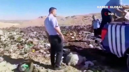 Skandal görüntüler! Piyasaya sürülmek üzere 1 ton bozuk tavuk eti ele geçirildi