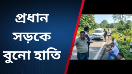 জেলার খবরঃ সড়কে গাড়ির মুখোমুখি গজরাজ! ভয় ধরাবে এই ভিডিও ,দেখুন হাড়হিম সেই ভিডিও