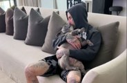 Travis Barker is mourning death of beloved dog Blue: 'I'll miss you'