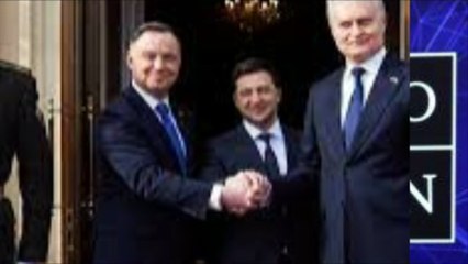 Zelensky Teken Deklarasi soal Keanggotaan Ukraina di NATO bagai man reaksi Rusia ?