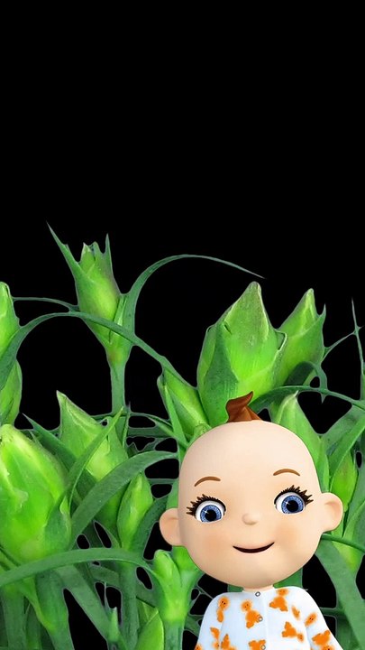 Babsy Baby Loves Beautiful Blooming Flowers Timelapse ❤️ Pink Dianthus Time Lapse 