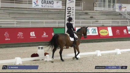 Grand National FFE - AC Print - Dressage  | Saint-Lô | Severine PACHOUD | DESPERADO