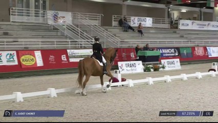 Grand National FFE - AC Print - Dressage  | Saint-Lô | Camille JUDET CHERET | SCOOP DU BOIS LURIC