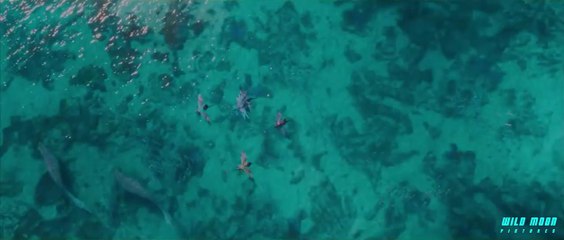 AVATAR_2_-_NEW_TRAILER_(2022)_20th_Century_Studios_|_Disney+