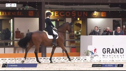 Grand National FFE - AC Print - Dressage | Le Mans (FRA) | Severine PACHOUD | DESPERADO