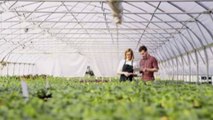 Agricoltura, sostenibilità e innovazione: la ricetta di Agrofarma