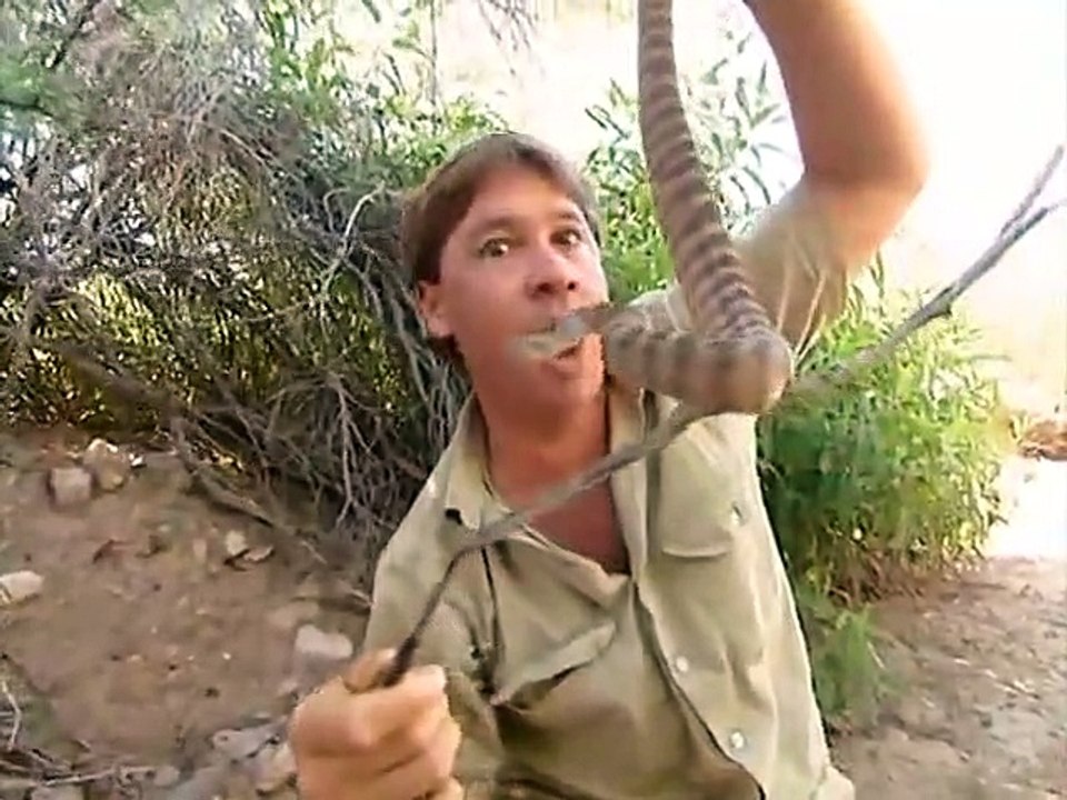 The Crocodile Hunter - Ep08 HD Watch HD Deutsch