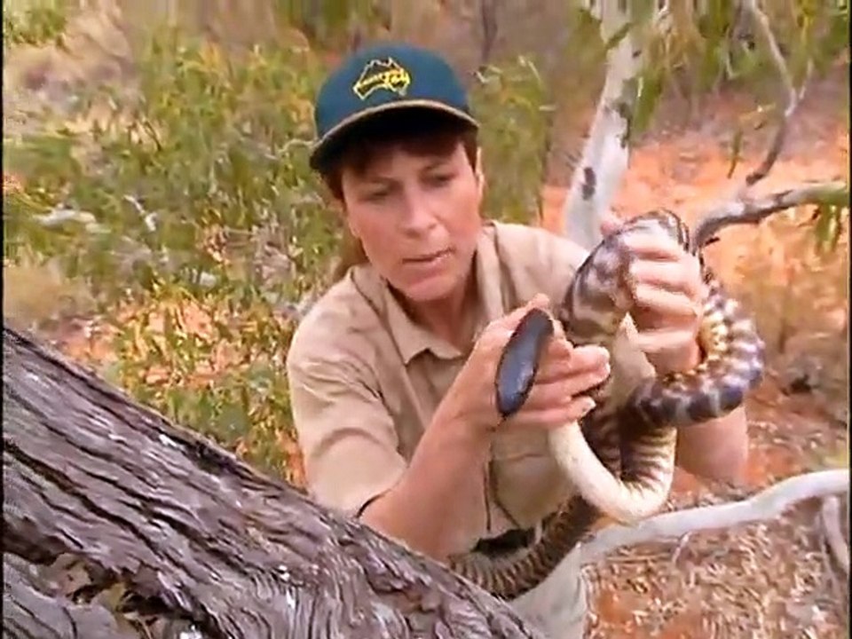 The Crocodile Hunter - Ep06 HD Watch HD Deutsch