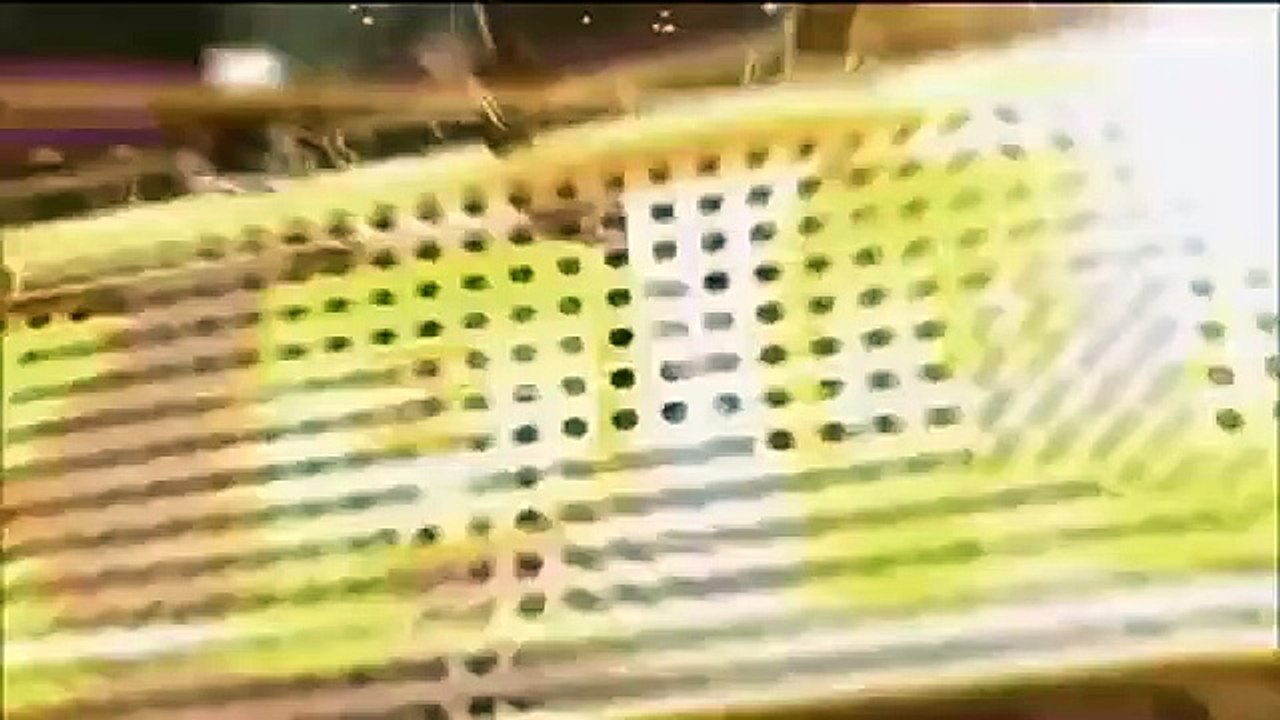 Celebrity Name Game - Se1 - Ep03 HD Watch HD Deutsch