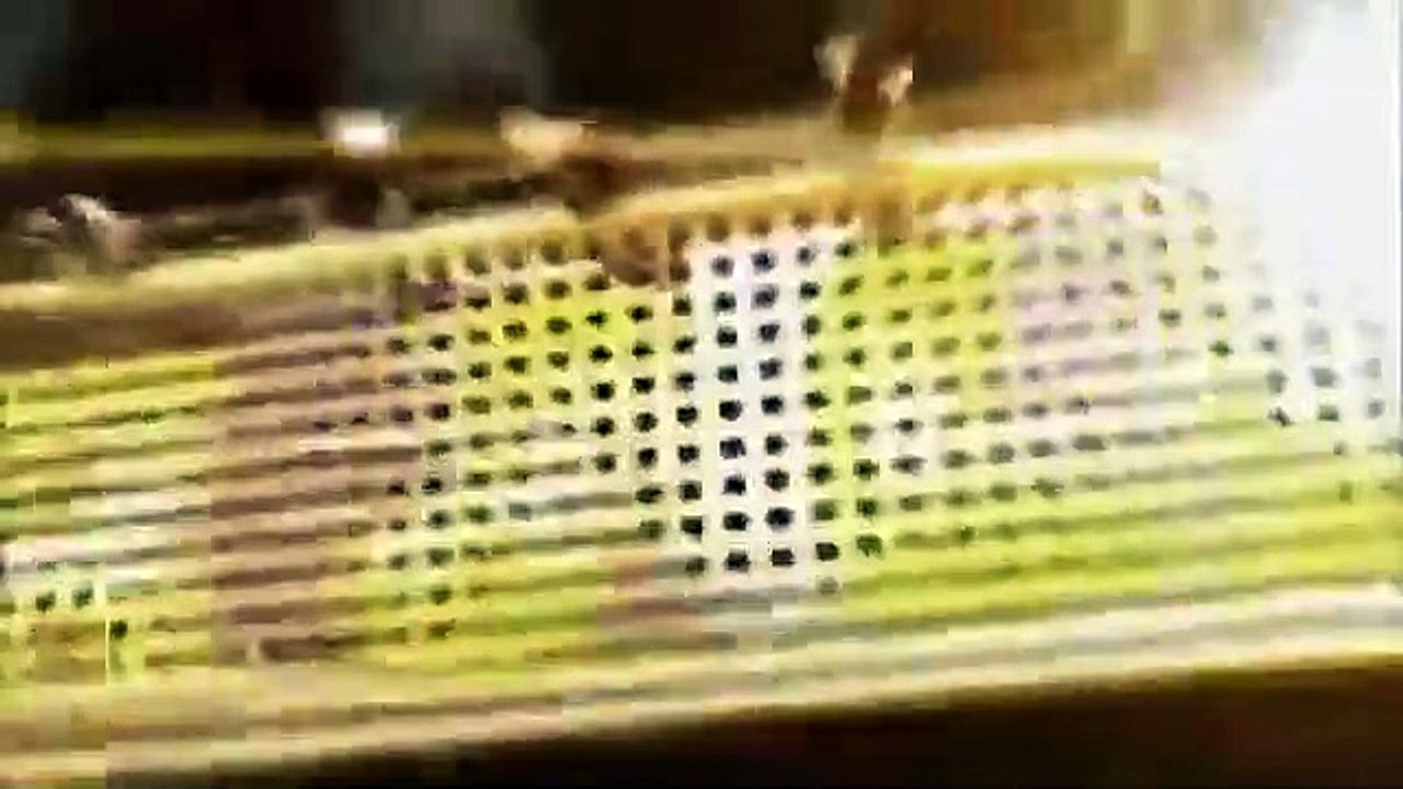 Celebrity Name Game - Se1 - Ep08 HD Watch HD Deutsch