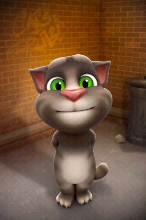 cat fart (2)