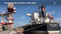 Grain ships leave Ukraine port of Chornomorsk