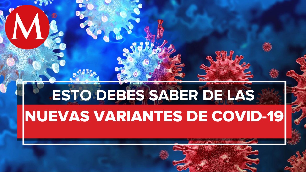 ¿Qué tan riesgosas son las nuevas variantes de covid BQ.1 y BQ.1.1?
