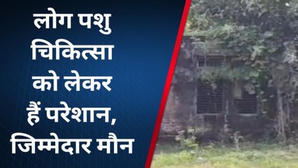 कुशीनगर: विभागीय उदासीनता से पशु चिकित्सा उपकेंद्र भवन बना खंडहर, देखें वीडियो