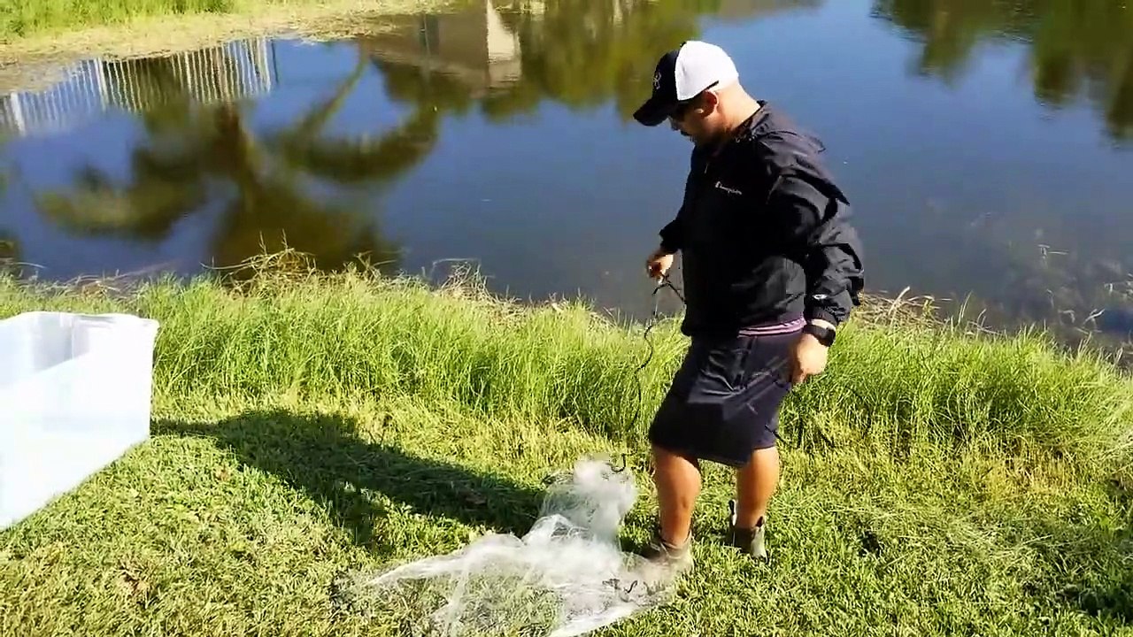 Using GIANT NET-TRAP to CAPTURE COLORFUL FISH for FEEDING!