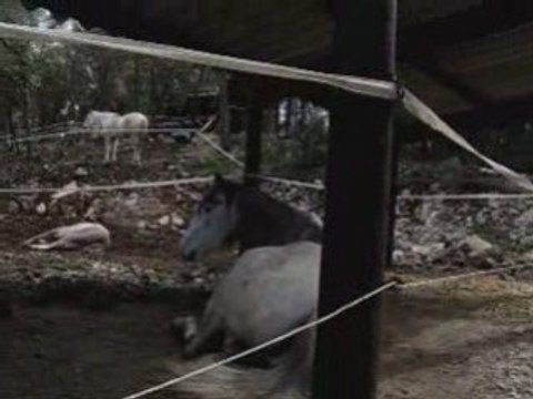 L'heure de la sieste