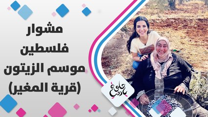 موسم الزيت موسم الخير في فلسطين، خلونا نشوف مع لمى ابوهلال