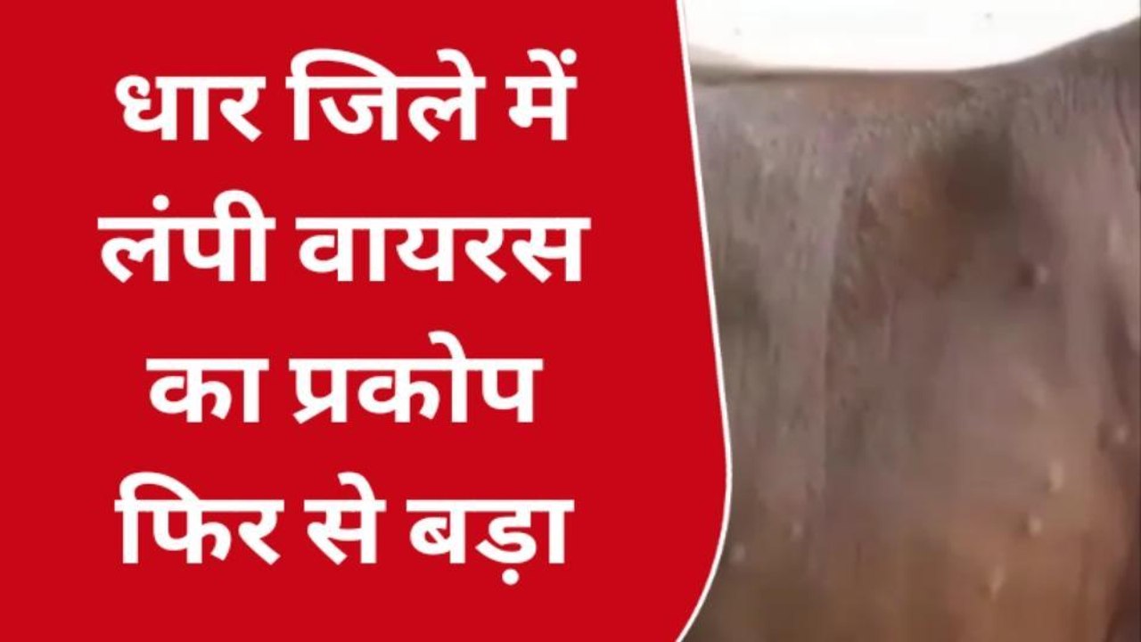 धार : नहीं थम रहा लंपी वायरस का कहर,प्रशासन का...