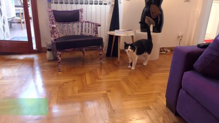 Licenziate da Alitalia e "vittime" dalla legge Fornero