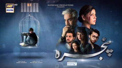 Pinjra -Episode 6  -  3rd November 2022  -ARY Digital Drama