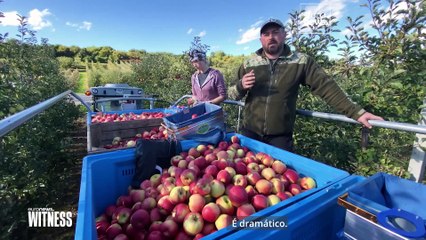 Falta de carvão preocupa polacos a dois meses do inverno