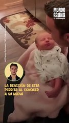 Con lametón en la mejilla, esta perrita le da la bienvenida a su nueva 'hermana humana'