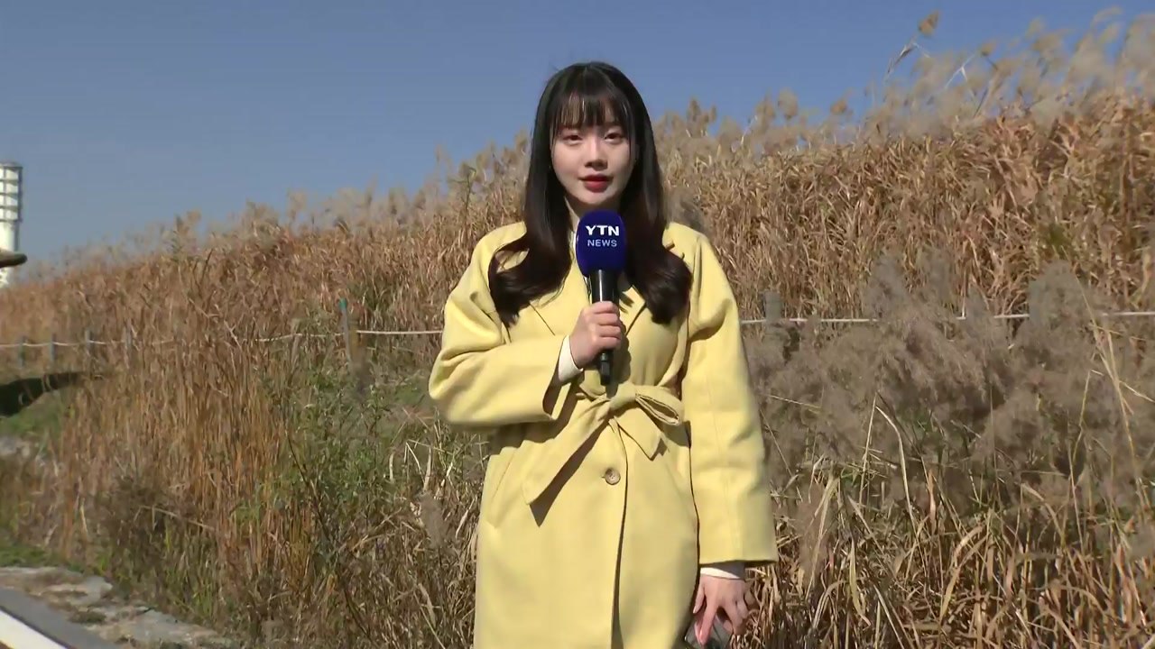 [날씨] 맑고 낮부터 추위 풀려...큰 일교차 주의 / YTN