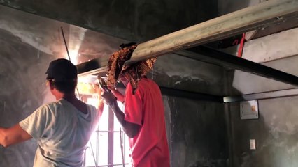 Loft bed  Steel frame