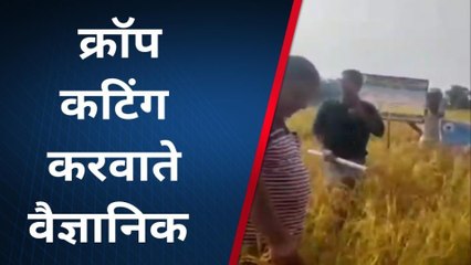 सहरसा: अगवानपुर कृषि केंद्र के वैज्ञानिक पहुंच कर किए क्रॉप कटिंग