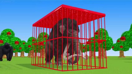 Elephant, Gorilla, Dinosaur, Kangaroo, Rhino, Tani the game who will throw the ball into the basket