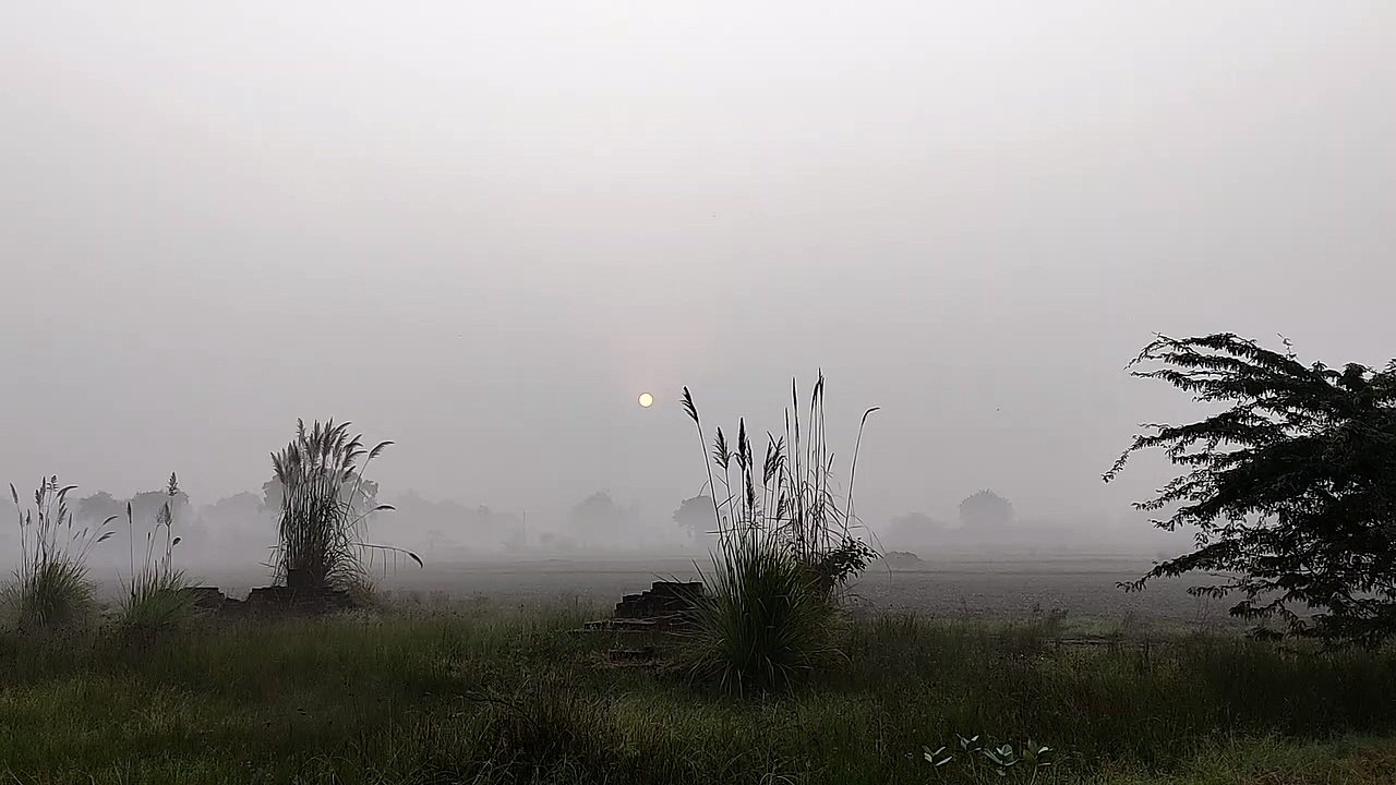 Wonderful Fog Winter | Winter Weather #trending