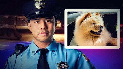 10 Roads People Take And Never Come Back