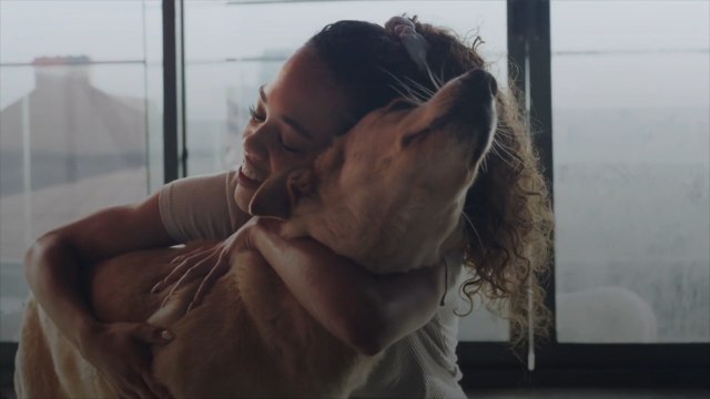 This Pet Food Brand Is Covering Adoption Fees For Senior Shelter Pets During The Month Of