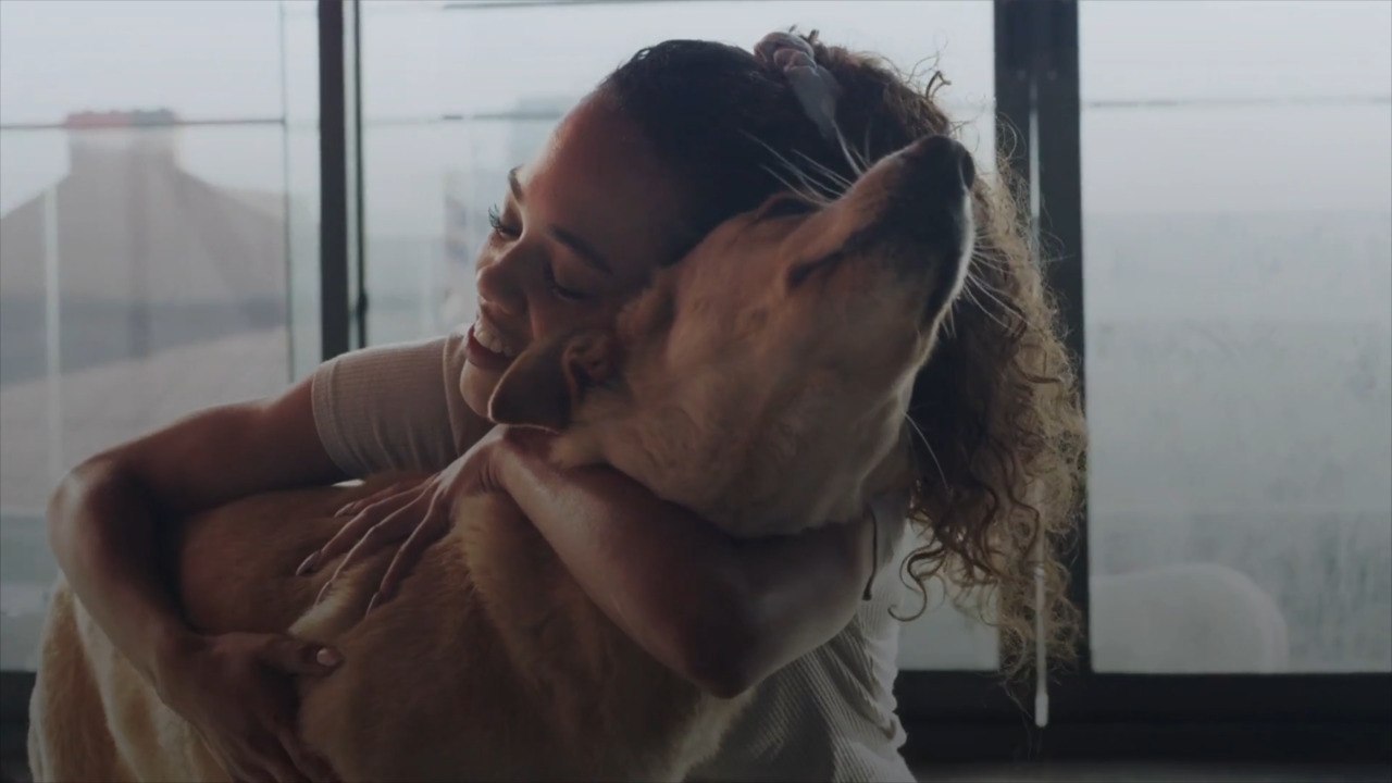 This Pet Food Brand Is Covering Adoption Fees F...