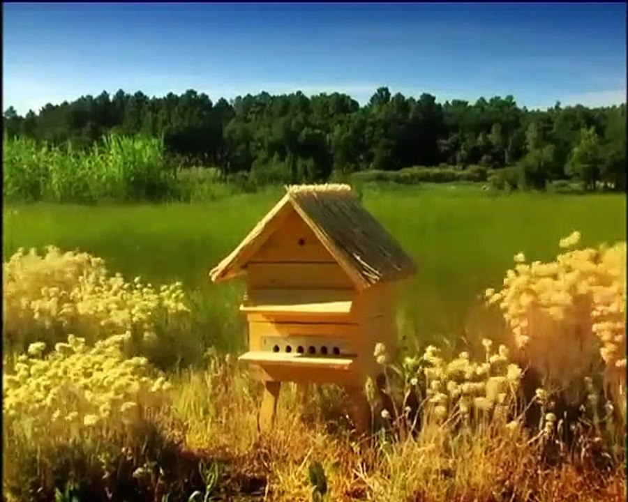 Minuscule - Se1 - Ep08 HD Watch HD Deutsch