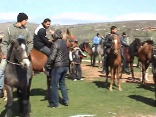 Леко произшествие на Тодоровден в Тополовград