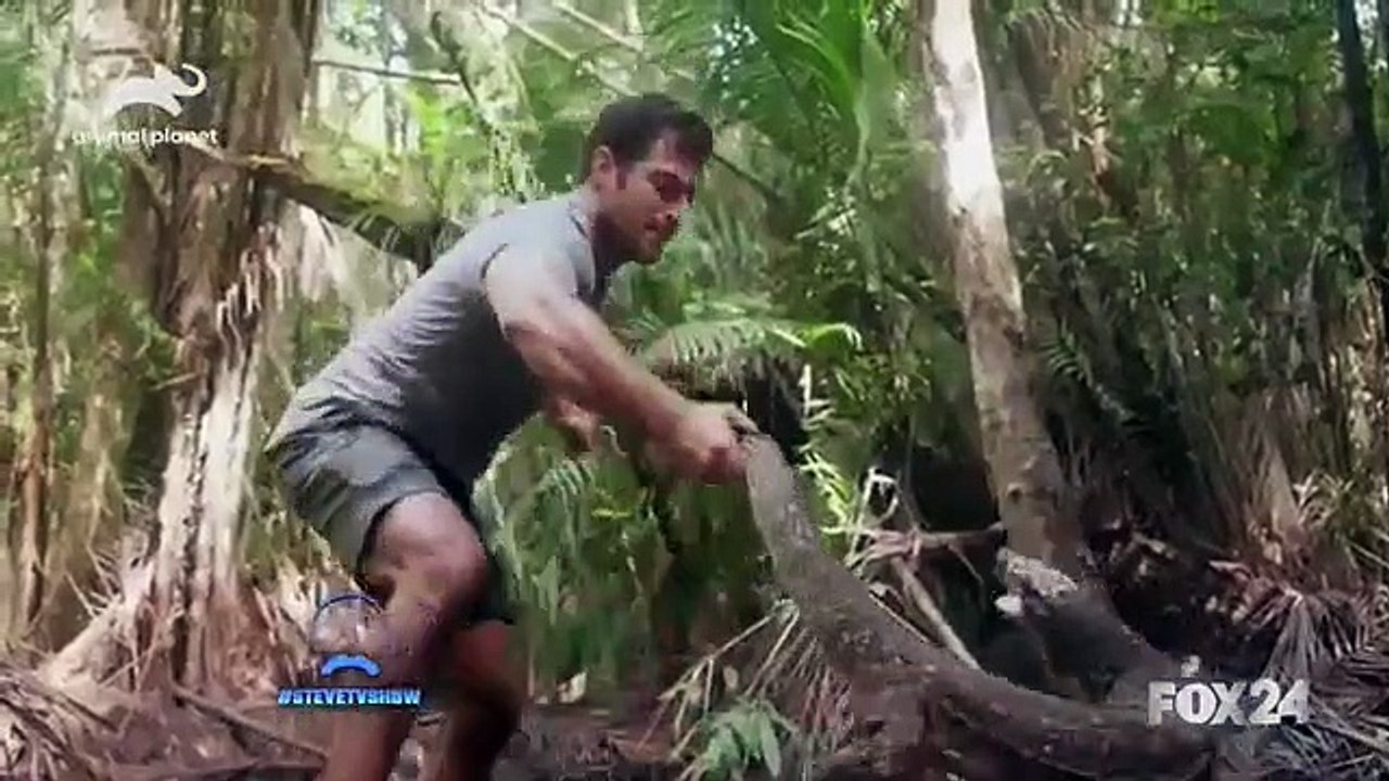 Steve - Se1 - Ep08 HD Watch HD Deutsch